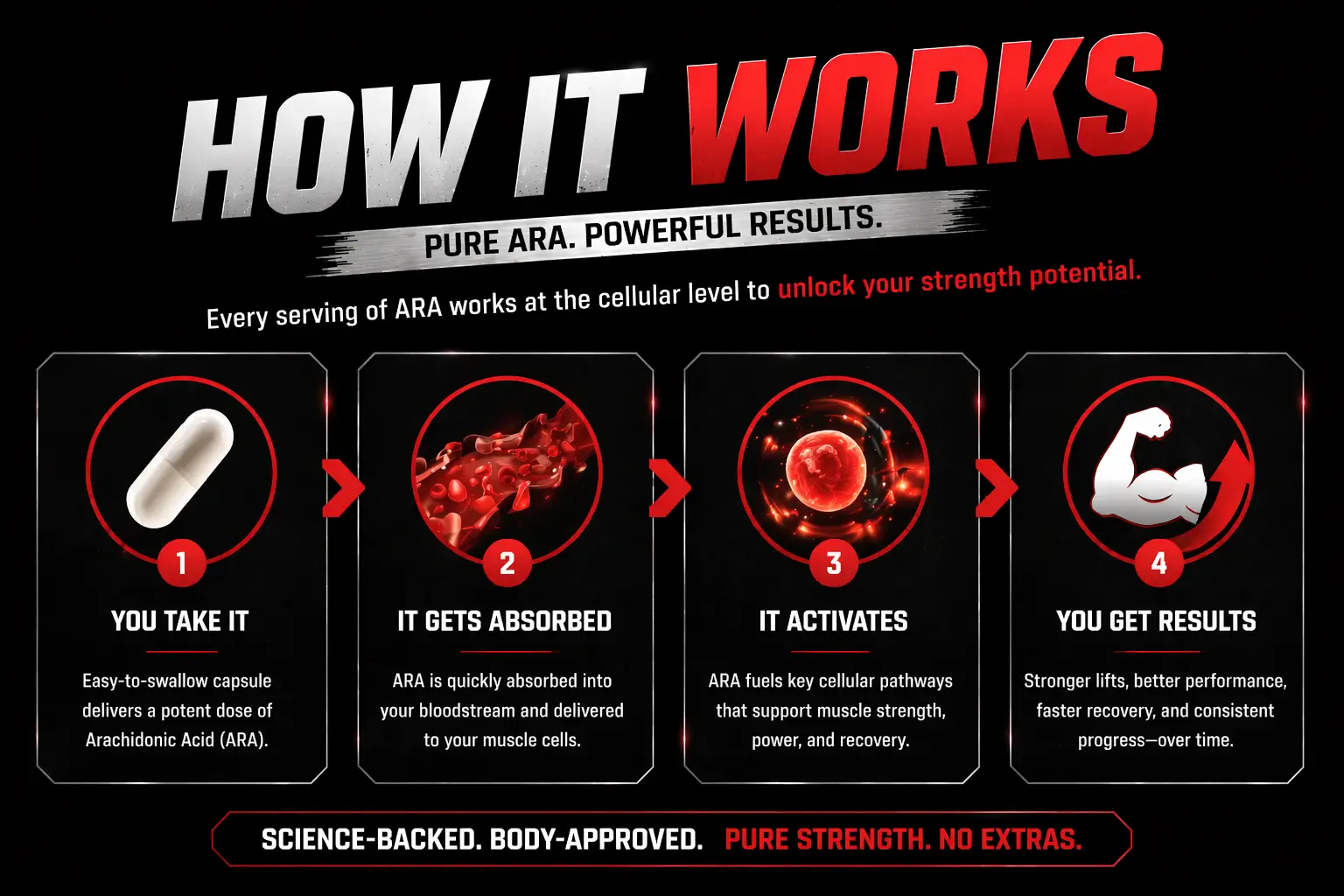 Arachidonic_Acid_How_It_Works