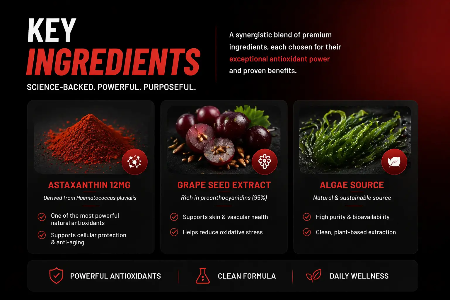 Astaxanthin_12mg_Ingredient_Breakdown