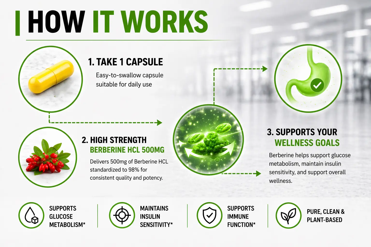 Berberine-HCL-HOW-IT-WORKS