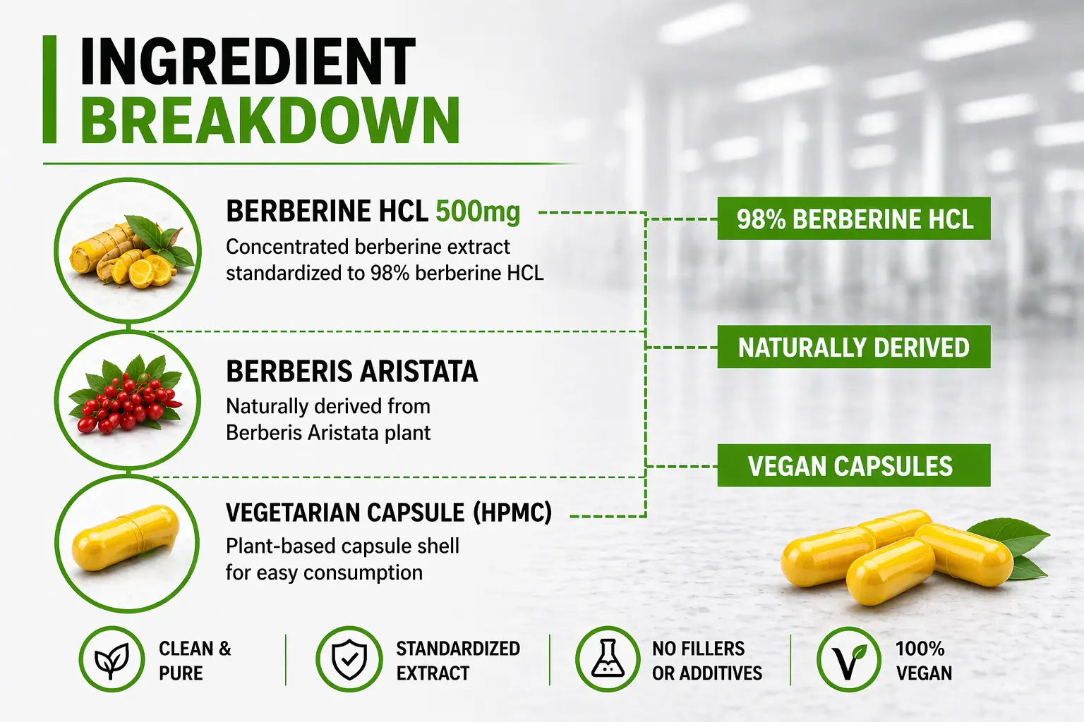 Berberine-HCL-INGREDIENT-BREAKDOWN