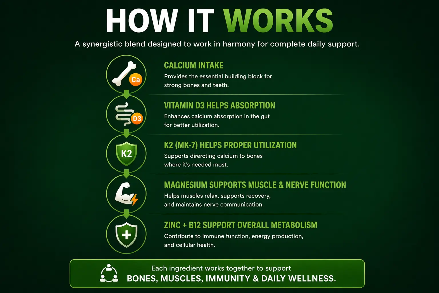 CMZ-HOW-IT-WORKS
