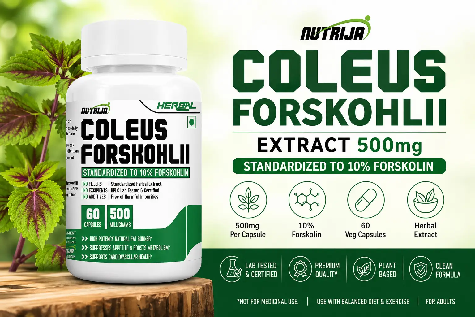 Coleus-Forskohlii-Cap-HERO