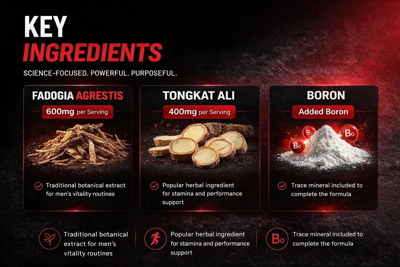 Fadogia-Agrestis-600mg-Tongkat-Ali-400mg-INGREDIENT 