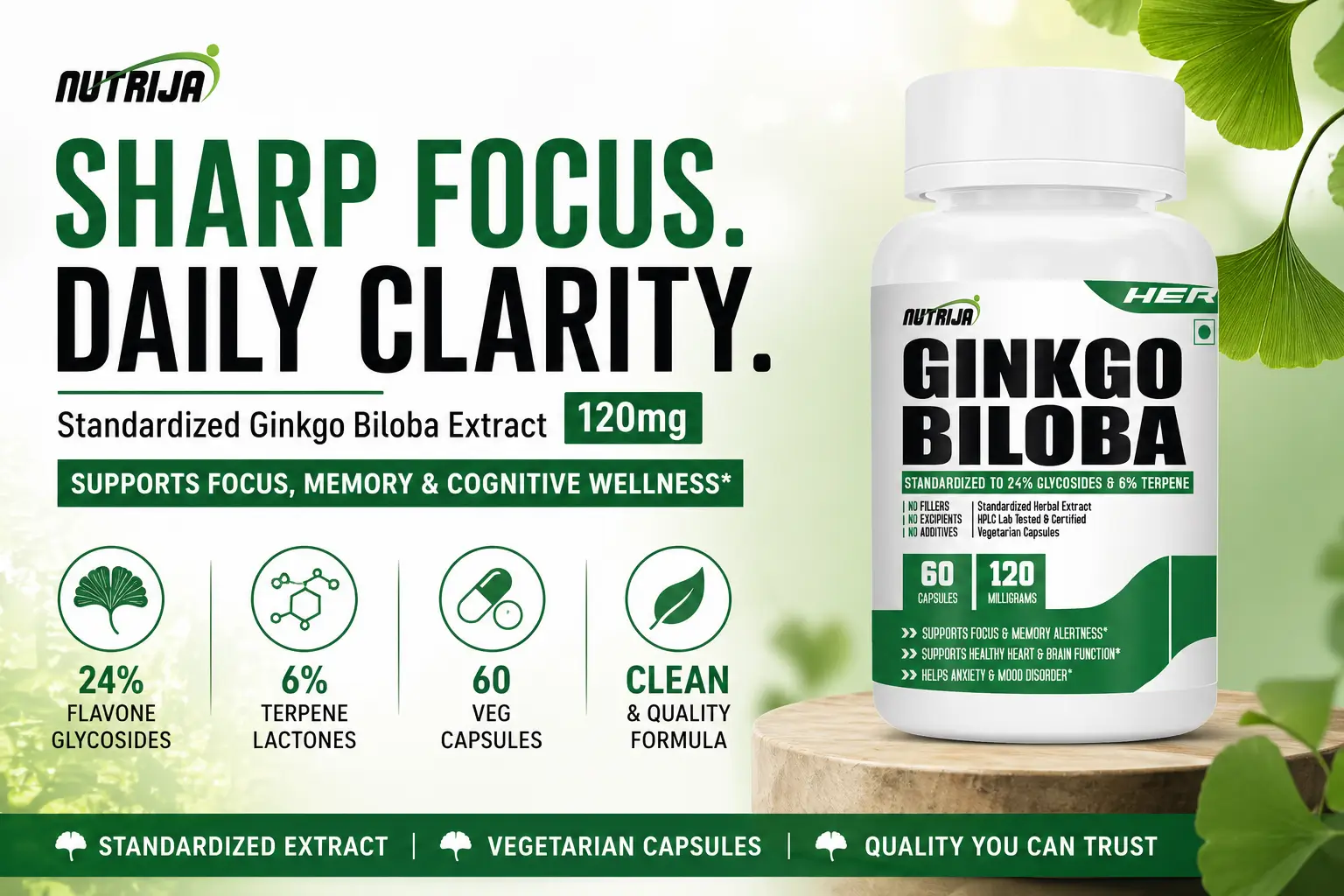 Ginkgo-Biloba-120mg-HERO