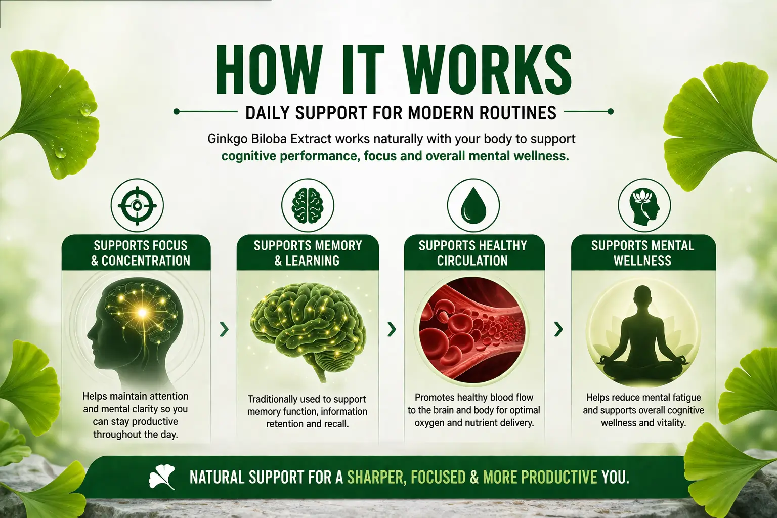 Ginkgo-Biloba-120mg-HERO