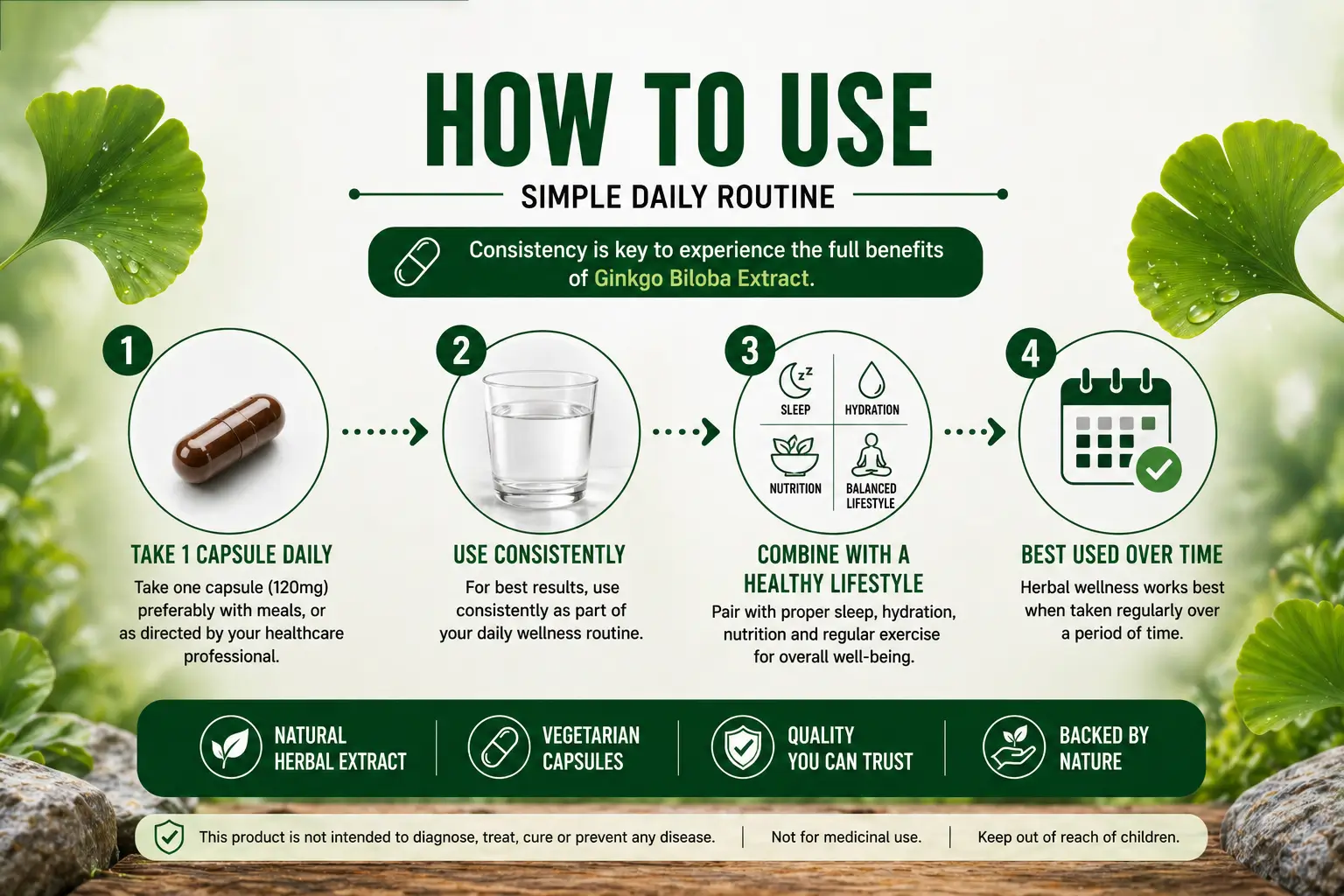 Ginkgo-Biloba-120mg-HERO