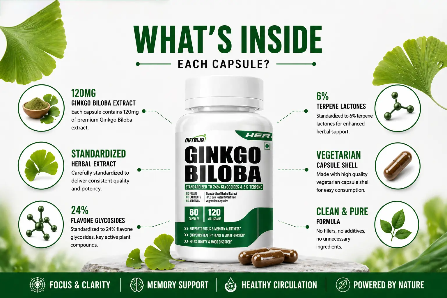 Ginkgo-Biloba-120mg-HERO