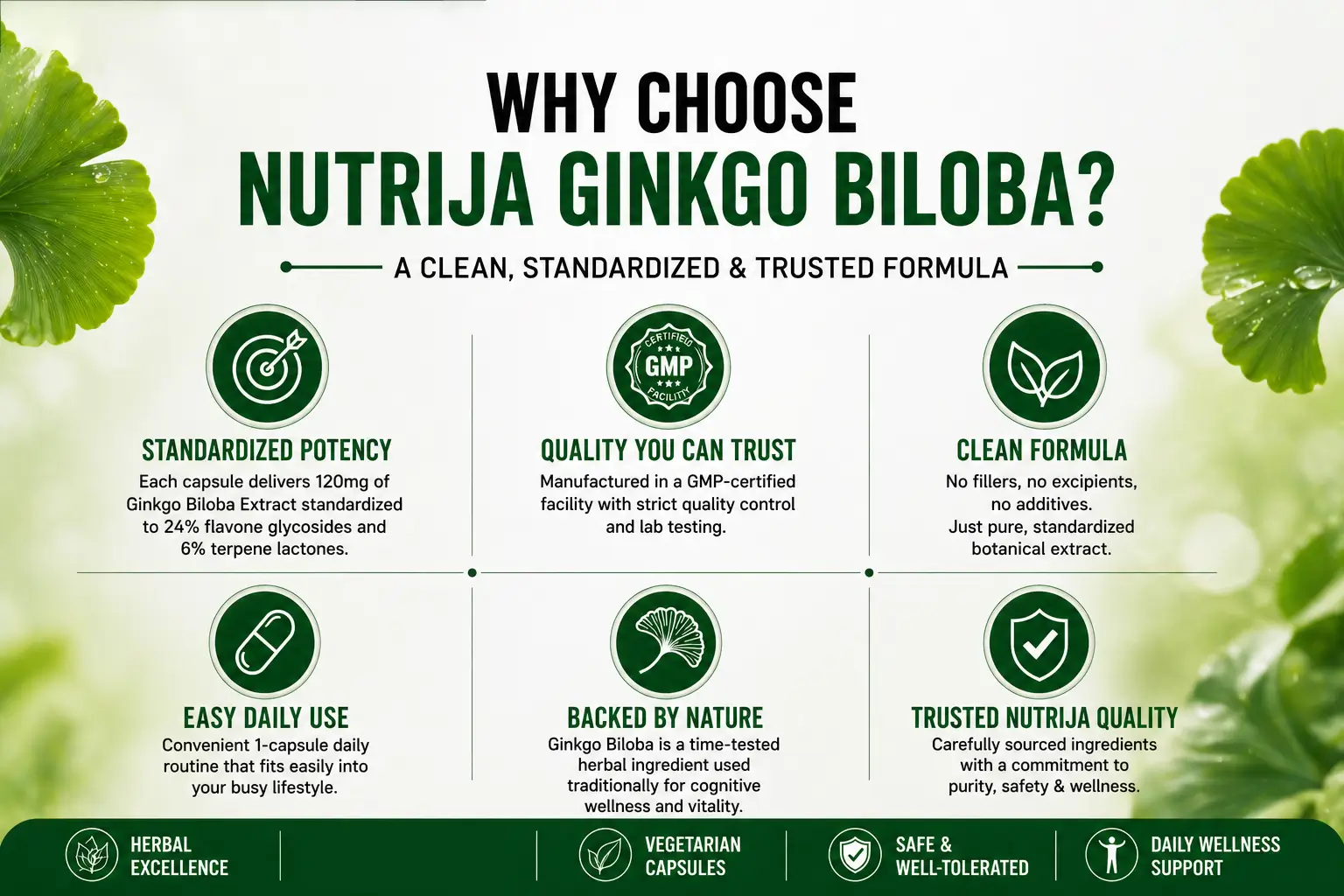 Ginkgo-Biloba-120mg-HERO