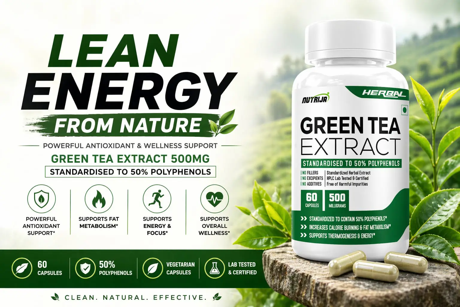 Green-Tea-Extract-500MG-HERO