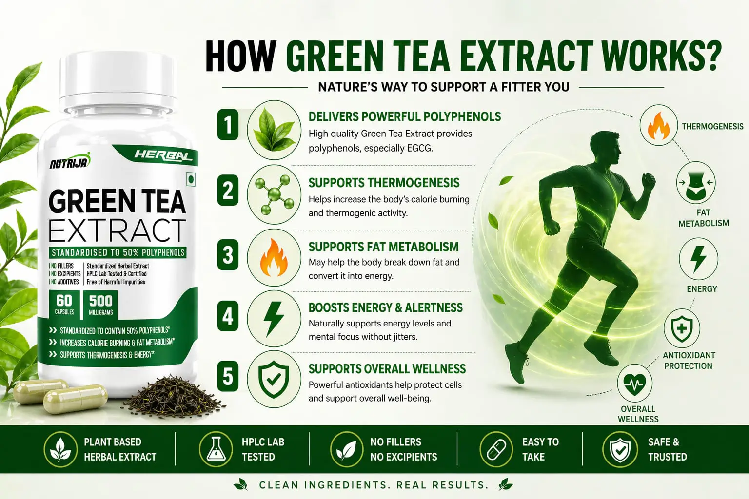 Green-Tea-Extract-500MG-HOW-IT-WORKS