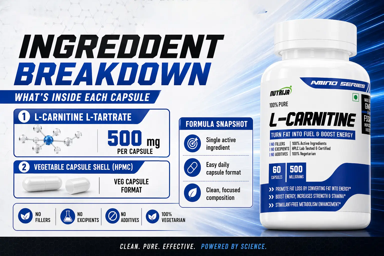 L-Carnitine 500MG-INGREDIENT-BREAKDOWN