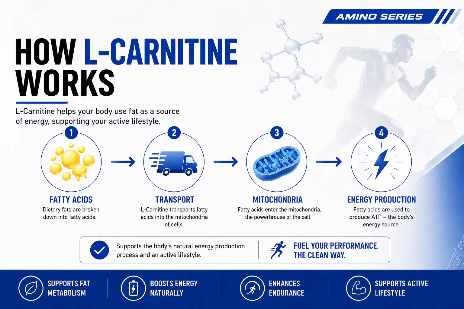 L-Carnitine-1000MG-HERO