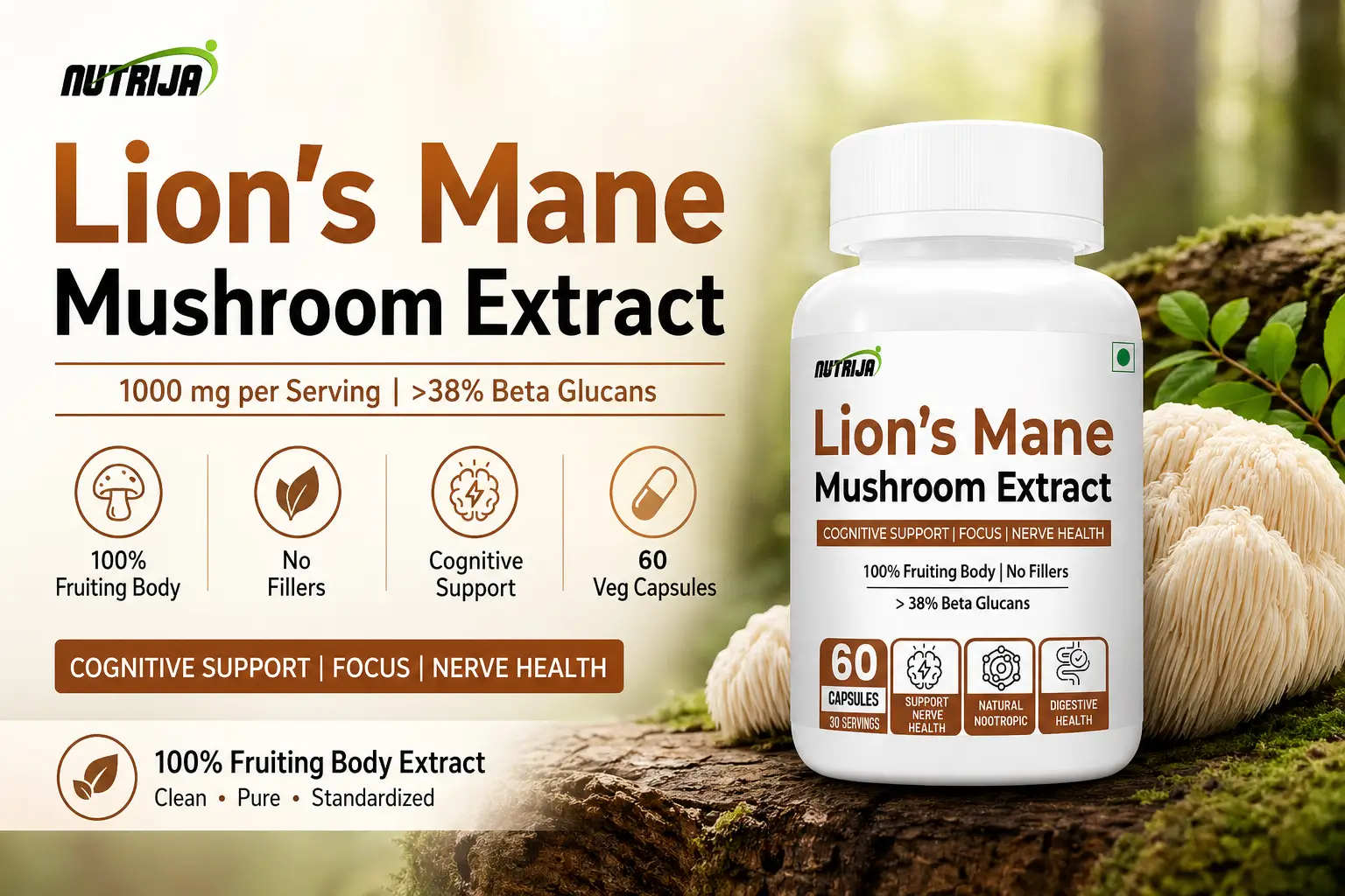 Lion’s-Mane-HERO