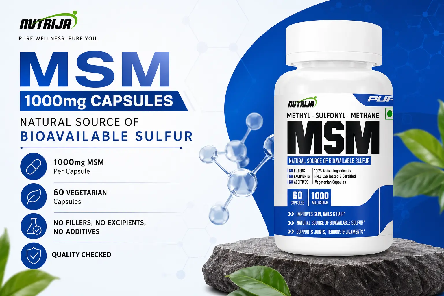MSM-1000MG-HERO