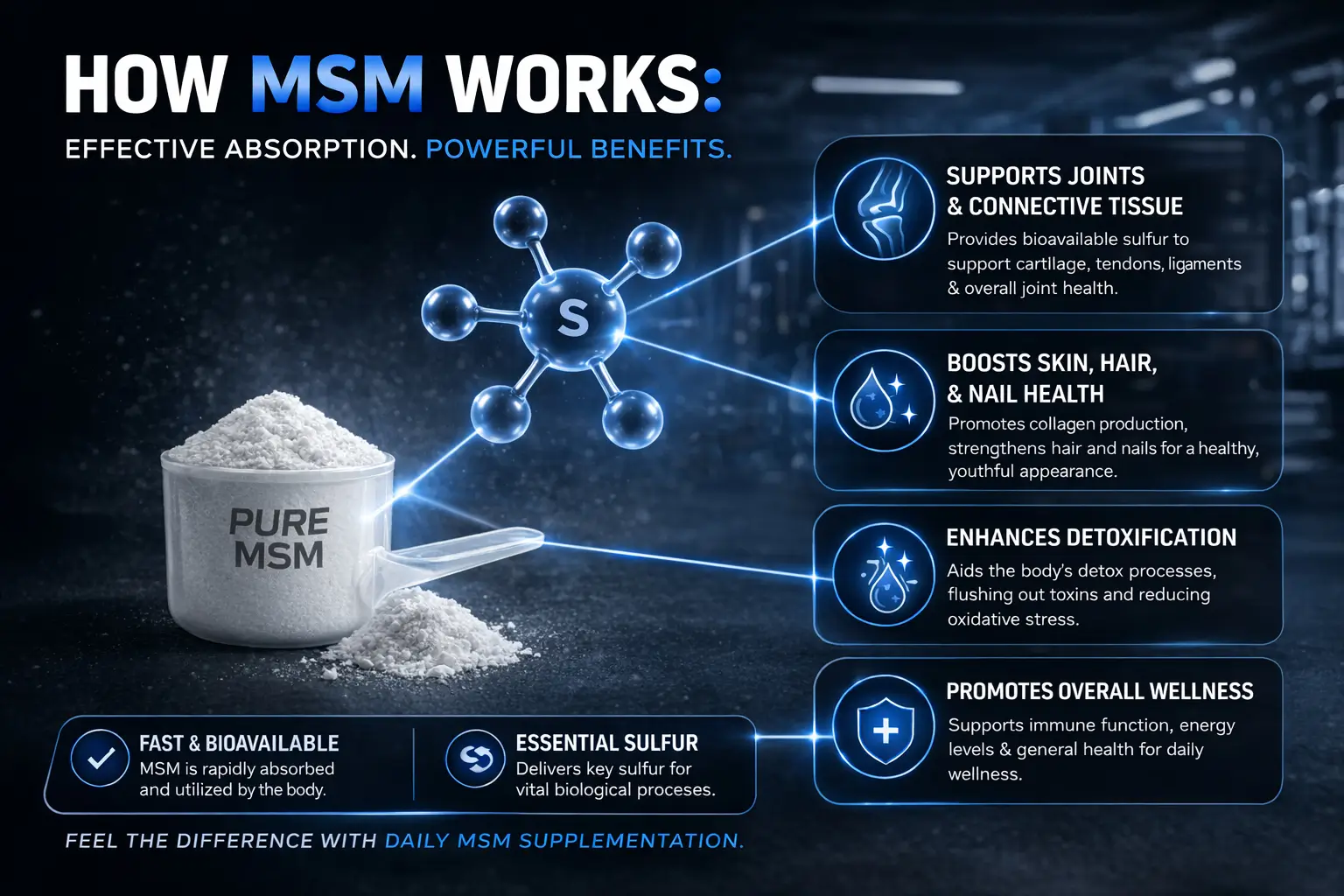 MSM-Powder-How-It-Works