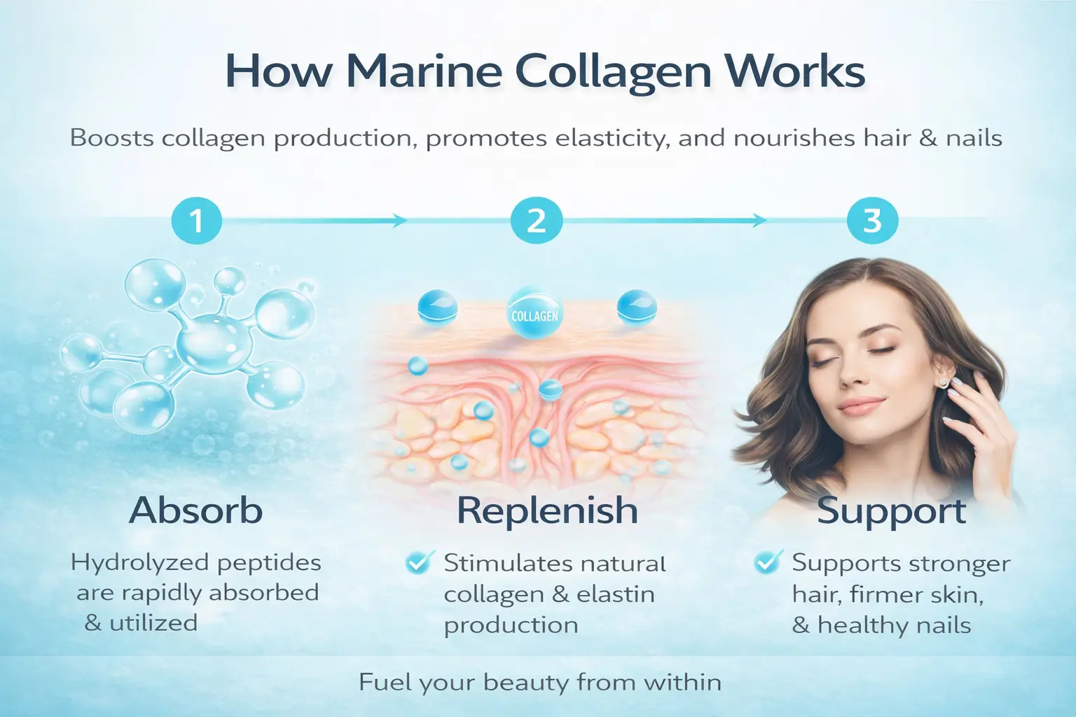 Marine-Collagen-Peptides-HOW-IT-WORKS