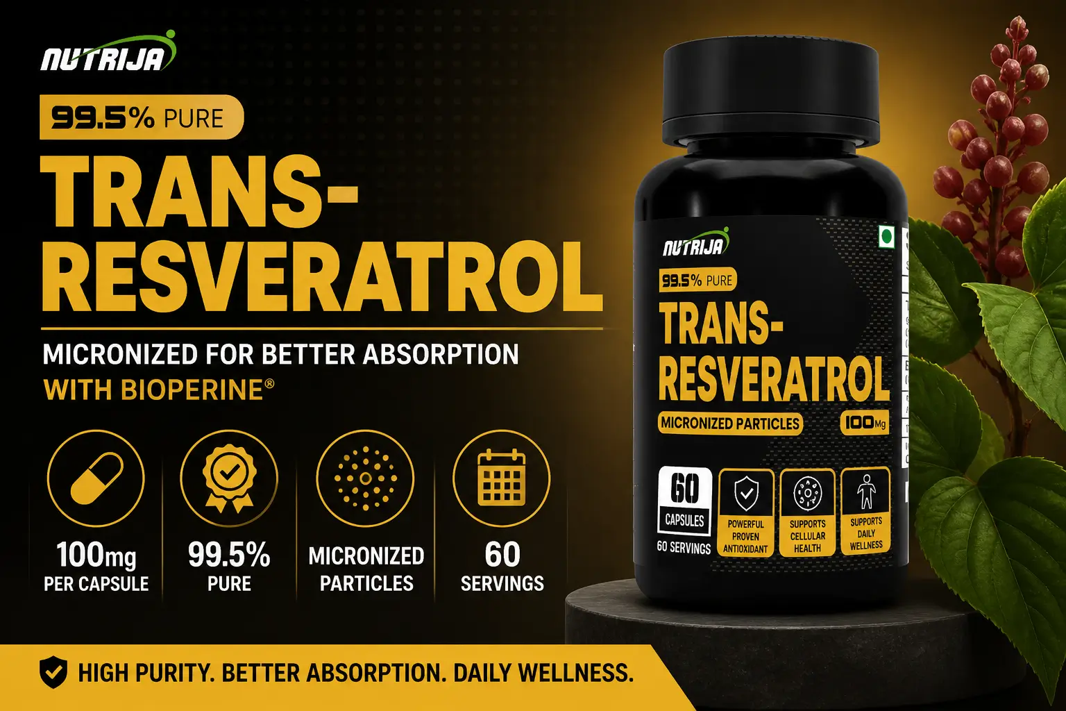 Micronized-Trans-100mg-HERO