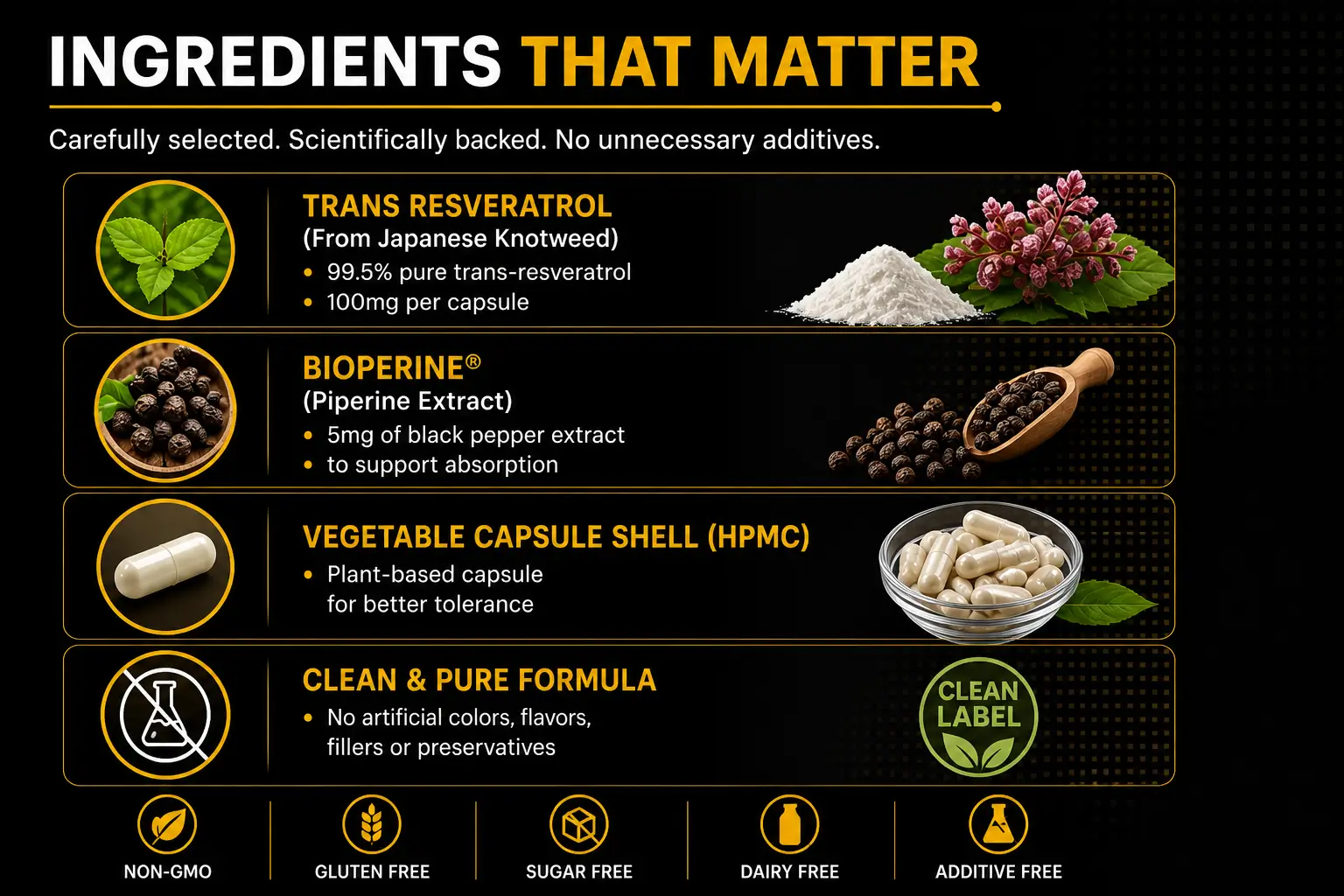 Micronized-Trans-100mg-HERO