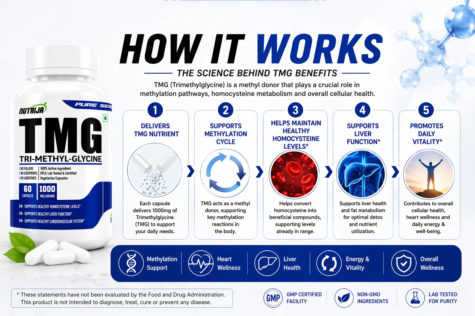 TMG-1000MG- HOW-IT-WORKS