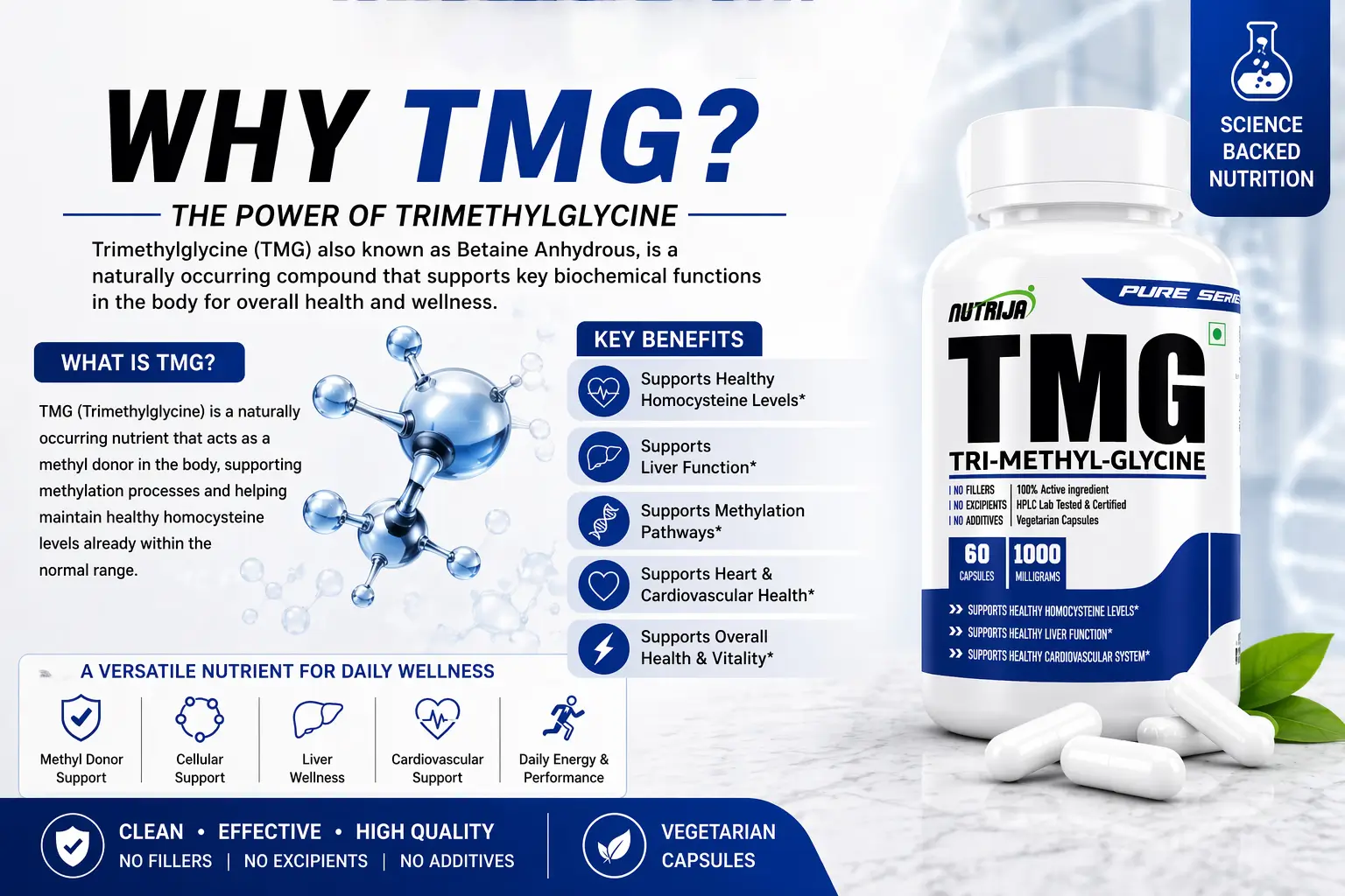 TMG-1000MG-INGREDIENT-BREAKDOWN