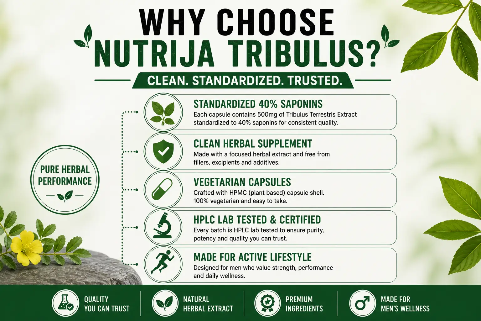 Tribulus-Capsules-HERO