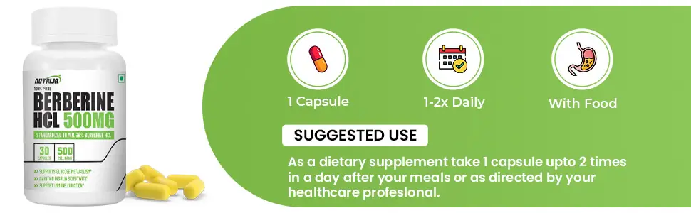 berberine-HCL-500-how-to-use