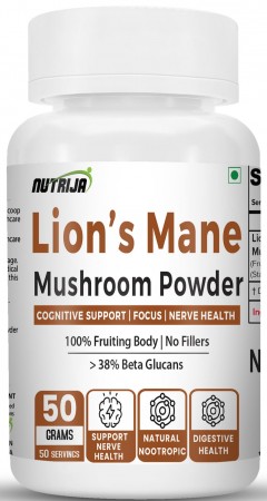 Buy Lion’s Mane Mushroom Powder