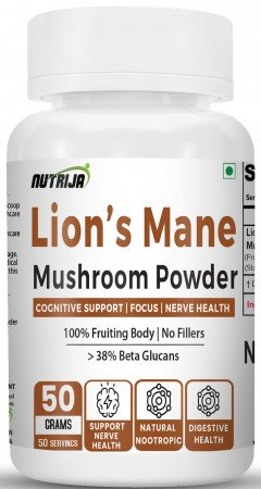 Buy Lion’s Mane Mushroom Powder