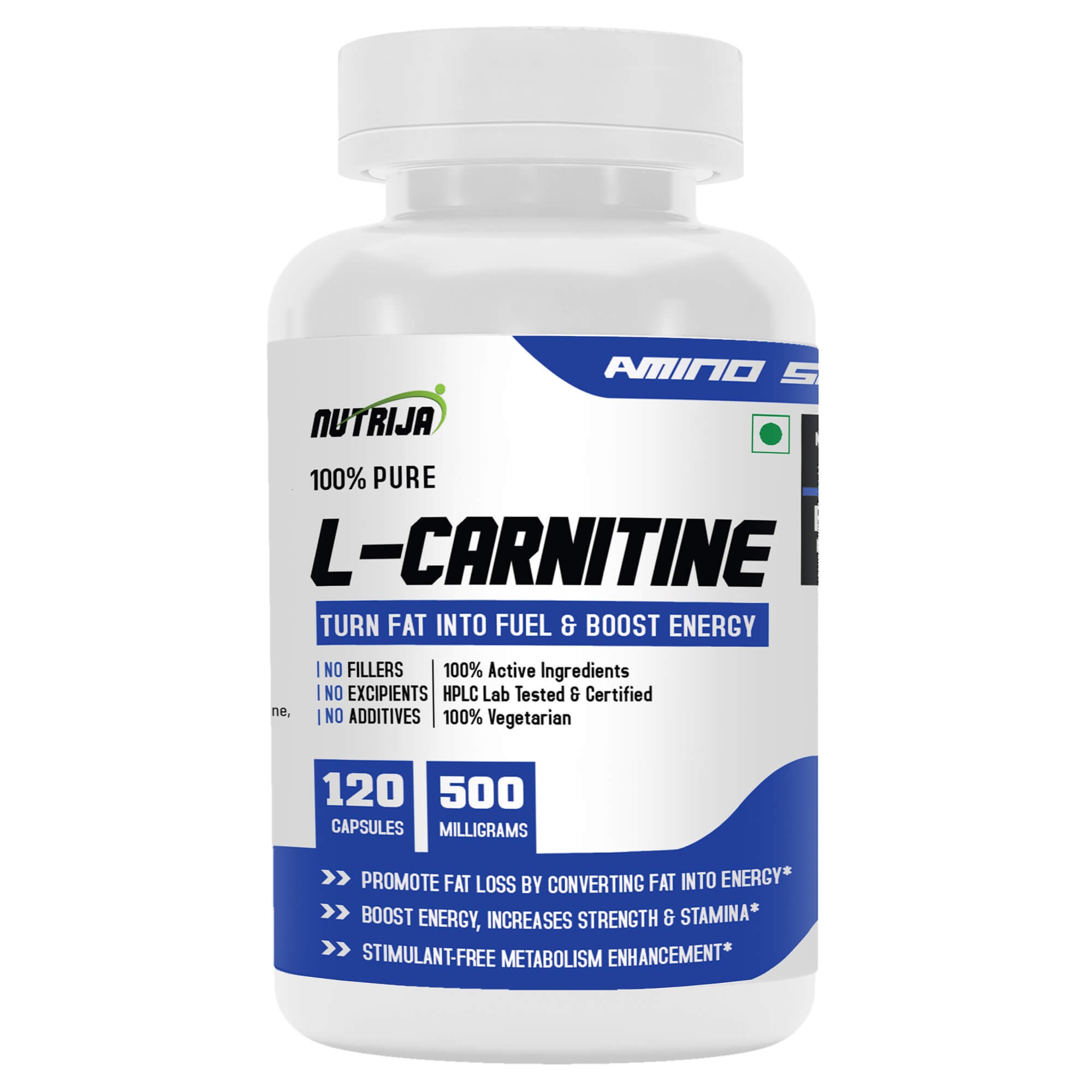 Buy L-CARNITINE 500mg Supplement | Converts Fat into energy, Helps to Boos  cellular energy | Promotes weight loss, Quick muscle recovery. | NutriJa  Supplement Store