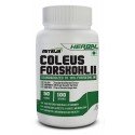 Forskolin (Coleus Forskohlii Extract)