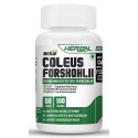 Forskolin (Coleus Forskohlii Extract)