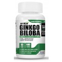 Ginkgo Biloba Extract