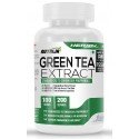 Green Tea Extract