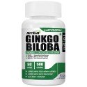 Ginkgo Biloba Extract