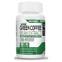 Green Coffee Bean Extract 