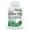 Green Tea Extract