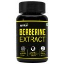 BERBERINE EXTRACT 500MG CAPSULES