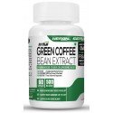 Green Coffee Bean Extract 500MG