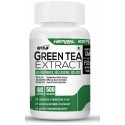 Green Tea Extract 500MG
