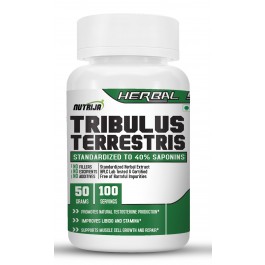 Buy Tribulus Terrestris Extract Supplement in India