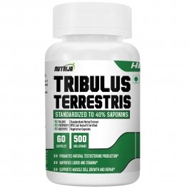 Tribulus Terrestris Extract Capsules