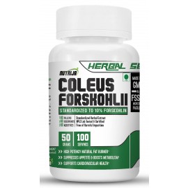 Forskolin (Coleus Forskohlii Extract)