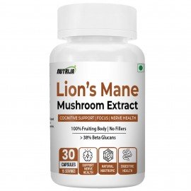 Lion’s Mane Mushroom 