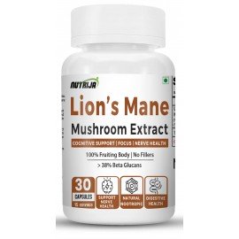 Lion’s Mane Mushroom 