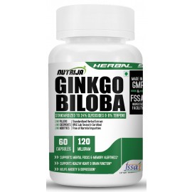 Ginkgo Biloba Extract 120mg