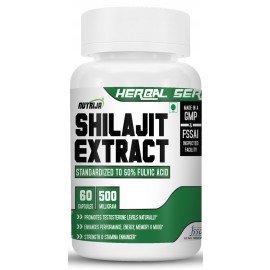 Shilajit Extract 500MG
