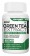 Buy Green Tea Extract 500MG Supplement in India