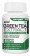 Buy Green Tea Extract 500MG Supplement in India