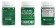 Buy Organic Moringa Powder Supplement
